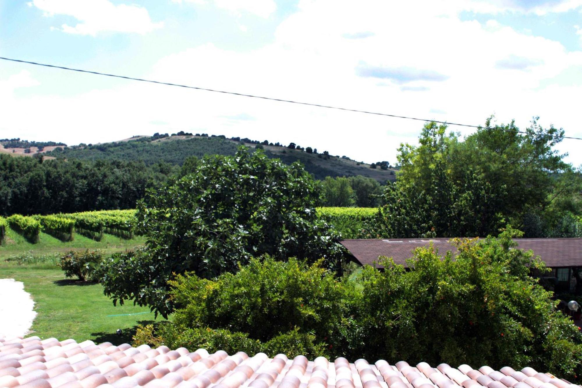 Agriturismo La Vecchia Quercia Montemerano Ngoại thất bức ảnh
